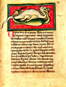 The Medieval Bestiary