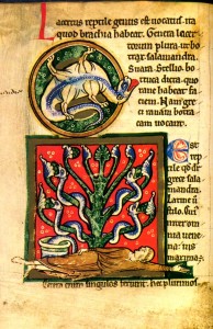 The Medieval Bestiary