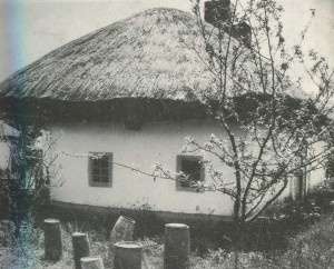 Hata and apiary from the village Lelyuhovka Poltava region. The end of the 19th century.