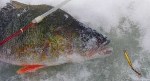 Winter fishing