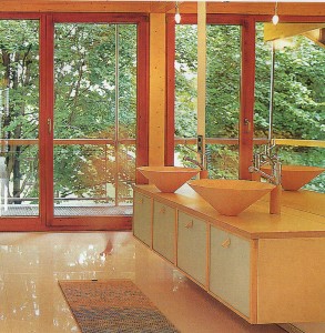 Large glass Windows