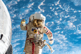 Russia to Send ‘Outstanding Citizens’ to Space for Free