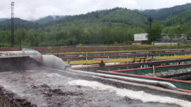 Russian Scientists Ring the Alarm on Lake Baikal’s Pollutants
