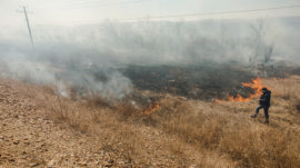 Siberia Wildfires Claim First Casualty as Losses Mount