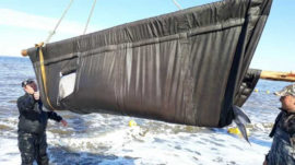 Russia Frees First Batch of Captive Whales After Outcry