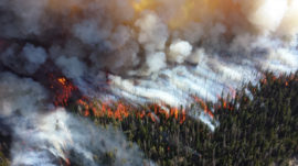 Siberian Wildfire Smog Could Sweep Into Moscow – Greenpeace