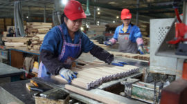 Russia Warns China It Could Ban Timber Exports Over Illegal Logging