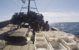 One Detained North Korean Poacher Died, FSB Says