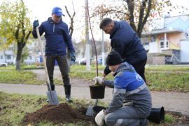 Gas workers plant apple trees in Tchaikovsky