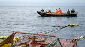 Russia Calls on Pyongyang to Crack Down on North Korean Poachers