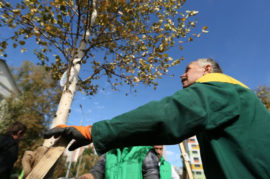 Russia Mulls Formation of Kremlin-Run ‘Green Party’ – RBC