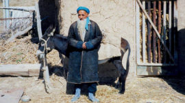Tajik Remittances From Russia Could Stop – Kommersant