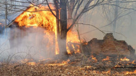 Kiev Says Huge Forest Fire ‘No Threat’ to Chernobyl Nuclear Zone