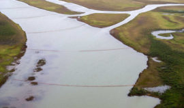Russian Mining Giant Admits Waste ‘Violations’ at Arctic Plant