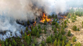 Russia’s Wildfires Double in Size Within Week – TASS