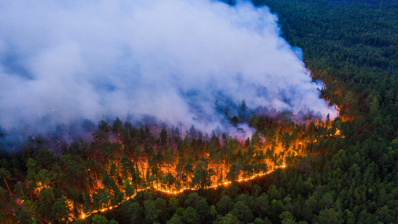  Wildfires in Siberia. Greenpeace Russia 