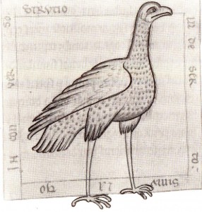 The Ostrich Miniature. Manuscript
