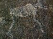 Petroglyph