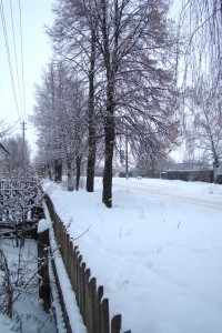 Village street in winter.