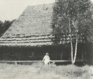 Hut in the village