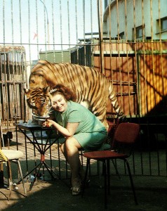 Tigerdompteuse Margarita Nasarowa im Zirkus von Nischni Nowgorod