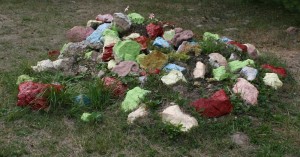Colored stones add variety to the landscape of children's camp.