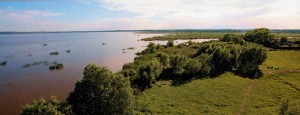 The Nature Of Rostov