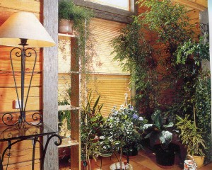 Area with potted plants