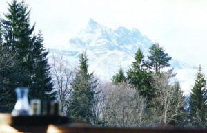 from the Chalet.