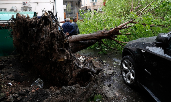 Moscow-mayor-says-Monday’s-hurricane-in-Moscow-‘unprecedented’ in Moscow 'unprecedented'