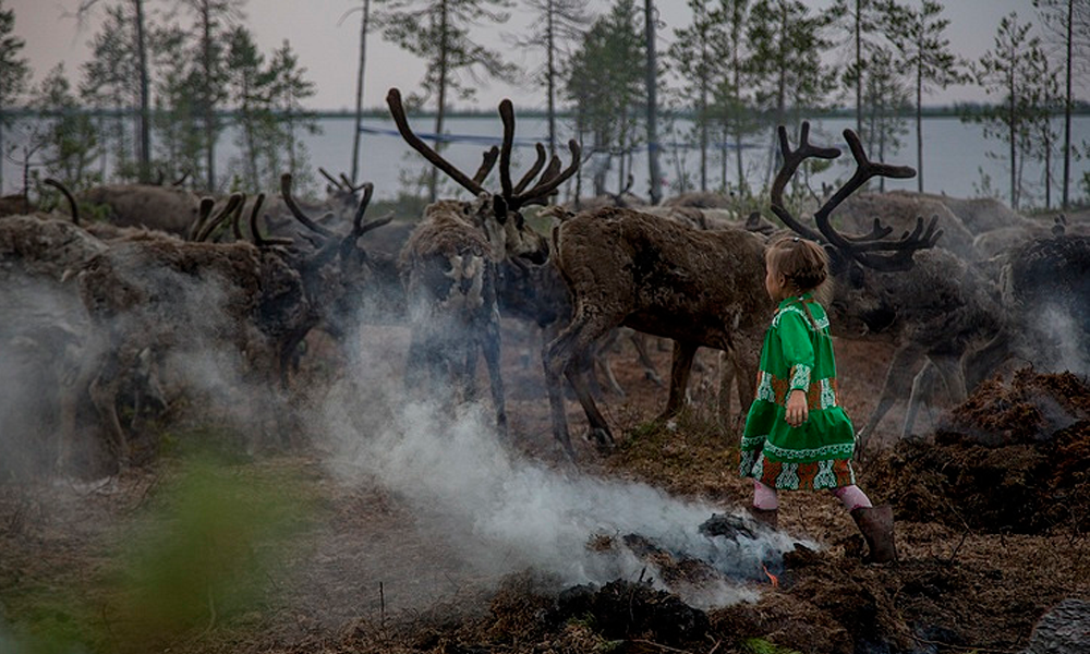 Russian researchers study how Arctic indigenous children adapt to urban life