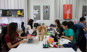 Thai staffs work with their dogs at the office of Adyim, a digital marketing solution company 
