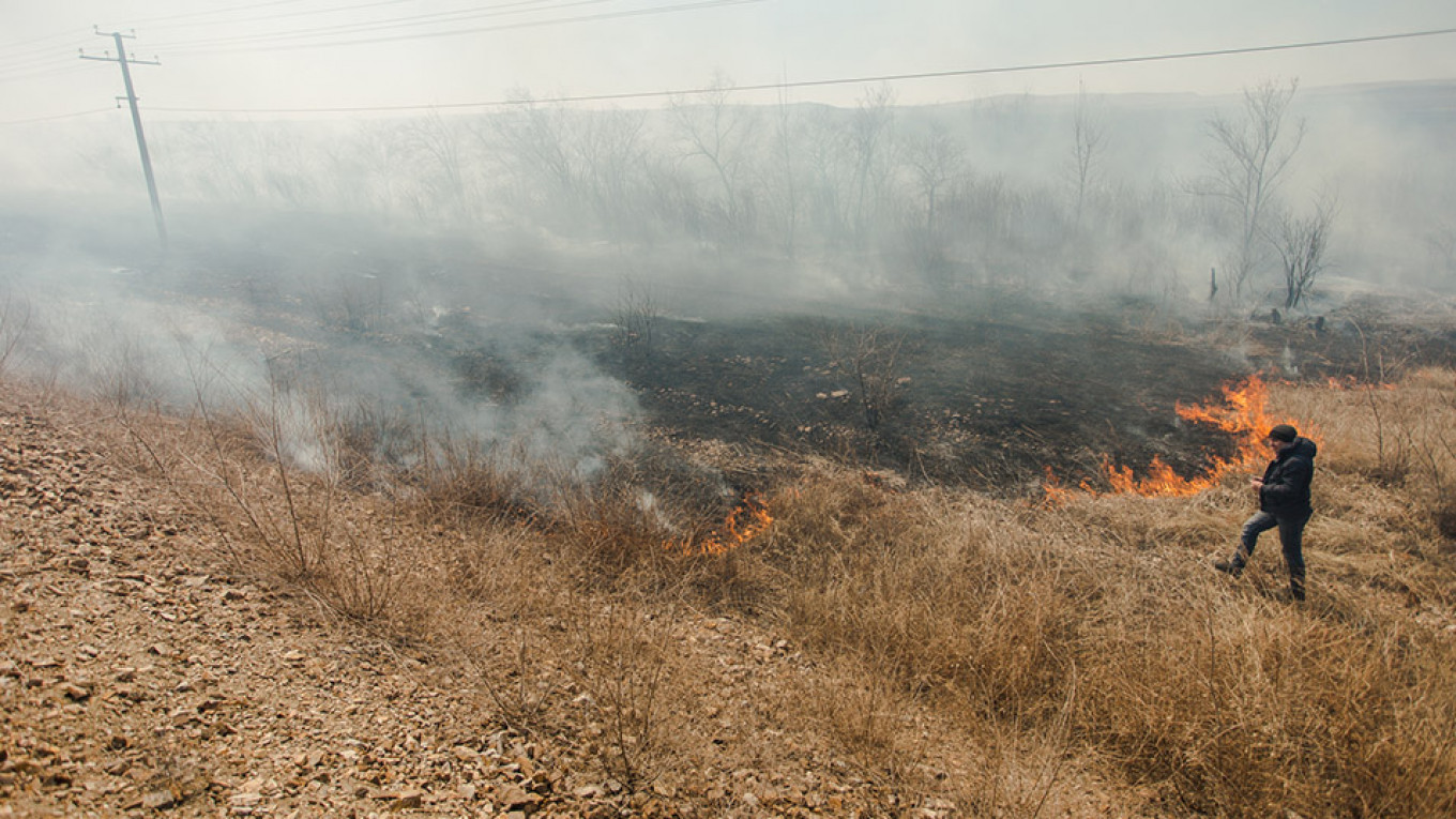 Siberia Wildfires Claim First Casualty as Losses Mount