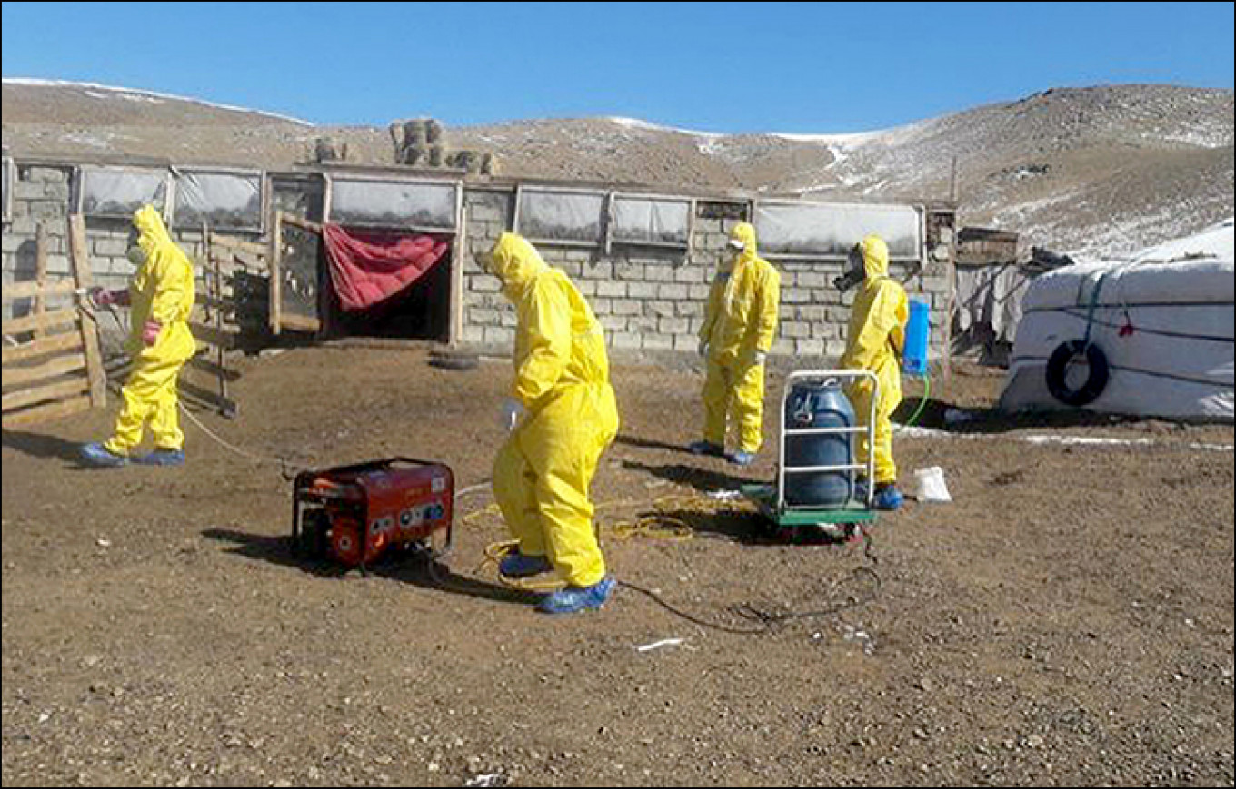 Bubonic Plague Scare Closes Russia-Mongolia Border, Trapping Russian Tourists