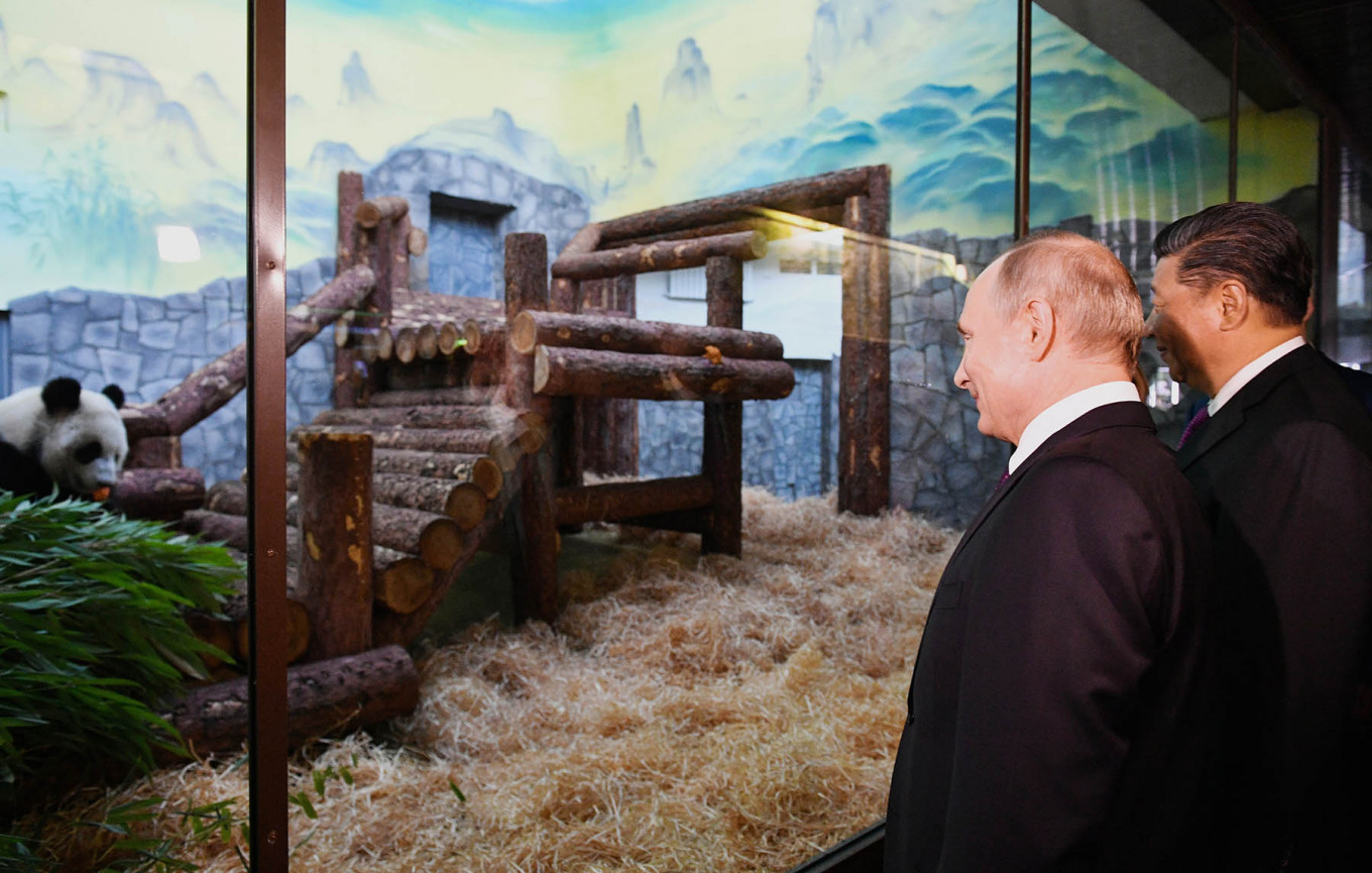 China’s Panda Diplomacy Puts a Smile on ‘Best Friend’ Putin’s Face