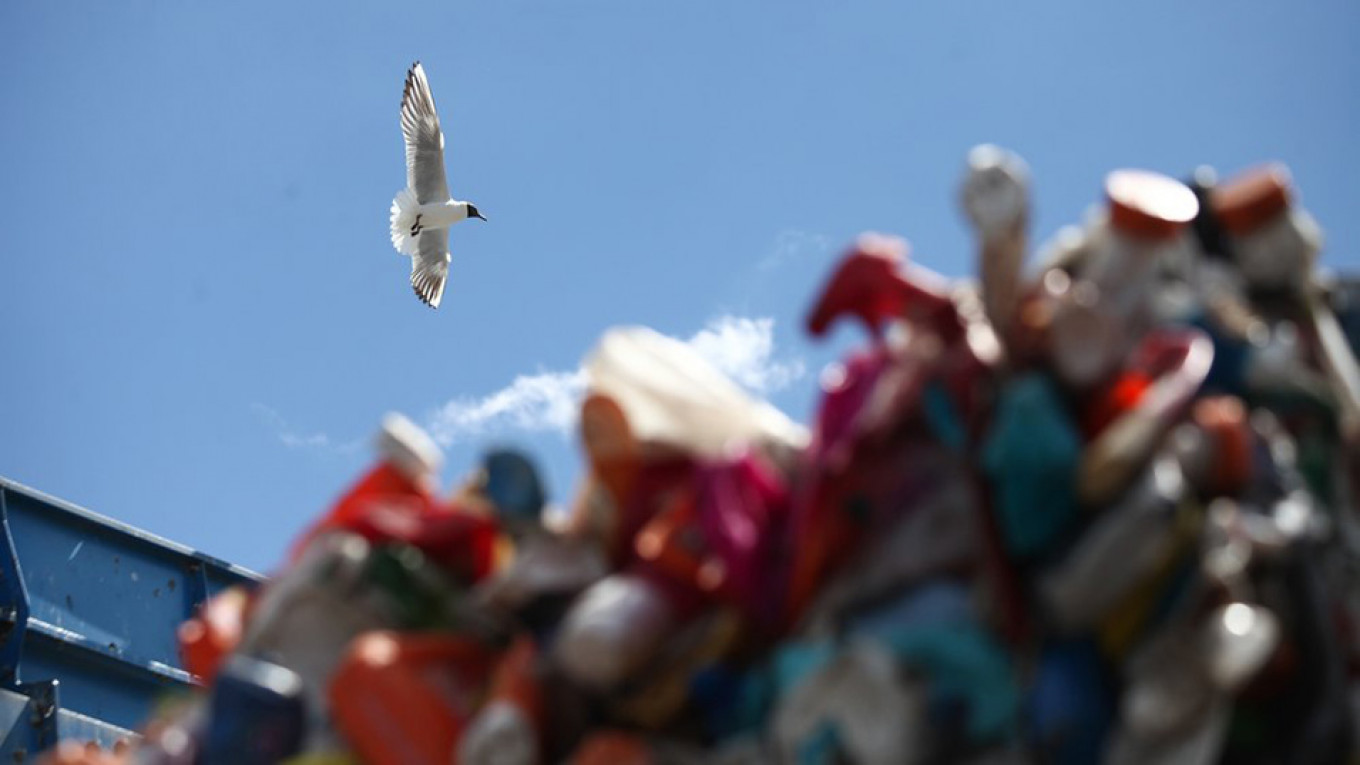 Moscow Authorities ‘Discover’ Flocks of Birds Near Plane Crash-Landing Site