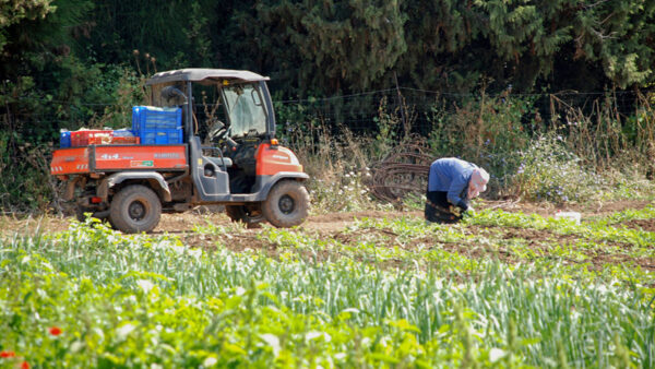 Russia’s ‘Shadow Economy’ Is Nearly 13% of GDP, Reports Say