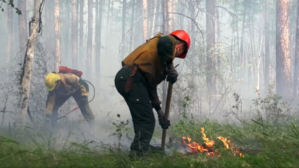 Wildfires Have Cost Russia $100M in 2019, Forestry Authority Says
