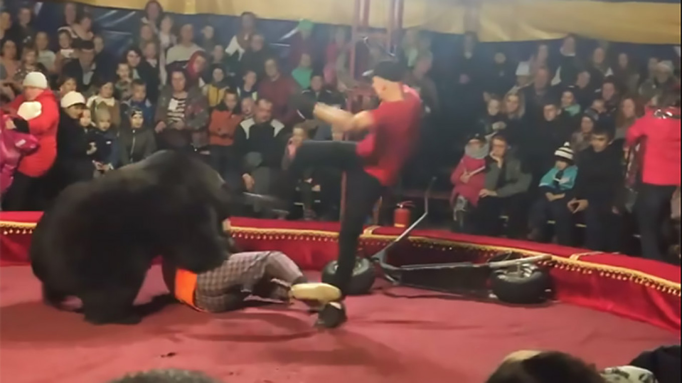 Russian Circus Bear Mauls Trainer During Show