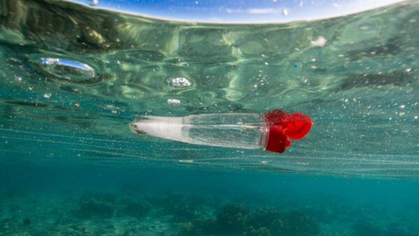 Russian Scientists Find Microplastics Along ‘Entire’ Arctic Sea Route