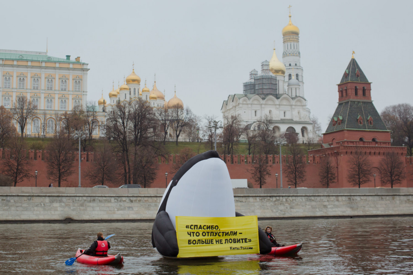 Russian Activists Detained Over Giant Blow-Up Whale Protest Near Kremlin