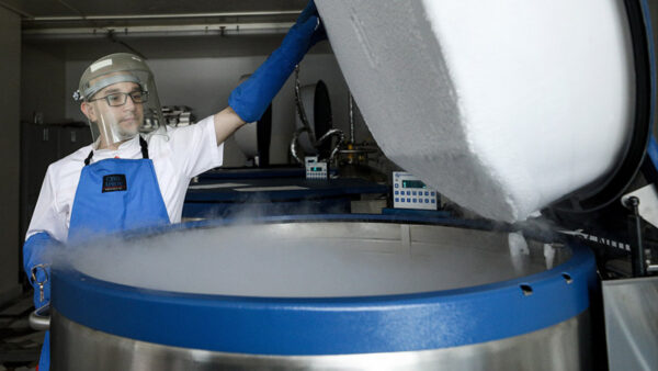 Brain Freeze: Russian Firm Offers Path to Immortality for a Fee