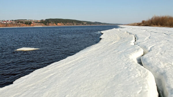 Putin’s Top Climate Adviser Calls for Urgent Climate Action