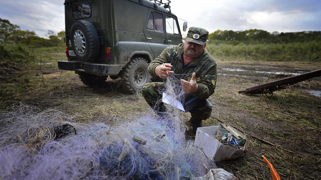 ‘People Go Hunting Like They Go Shopping’: Russia Sees Poaching Spike During Virus Lockdown