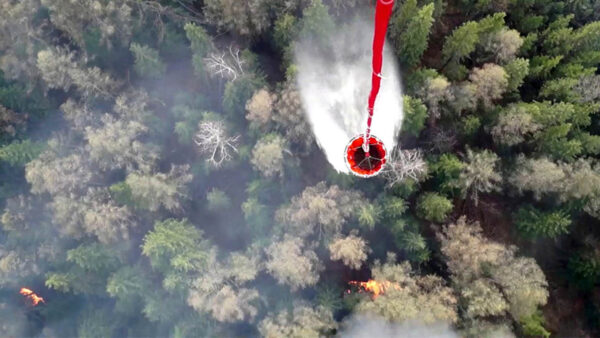 Siberian Officials Suspected of Starting Wildfires