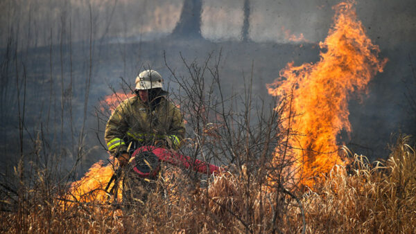 ‘Zombie’ Wildfires Threaten Arctic Russia, Scientists Warn