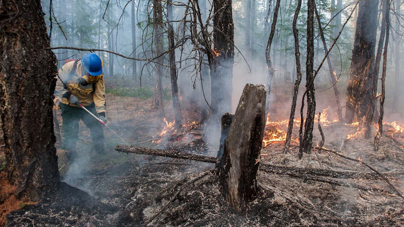 Siberian Wildfires Swell Amid Historic Heatwave