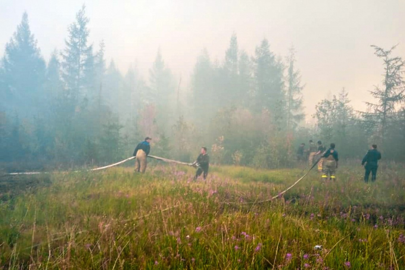 Nearly 300 Wildfires in Siberia Amid Record Warm Weather