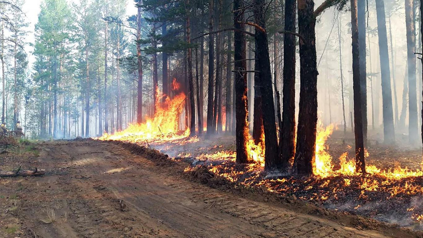 Siberian Wildfires Cover Area Larger Than Greece – Greenpeace