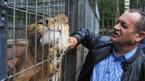 Meet the Rescued Animals at Moscow’s Wildlife Rehabilitation Shelter